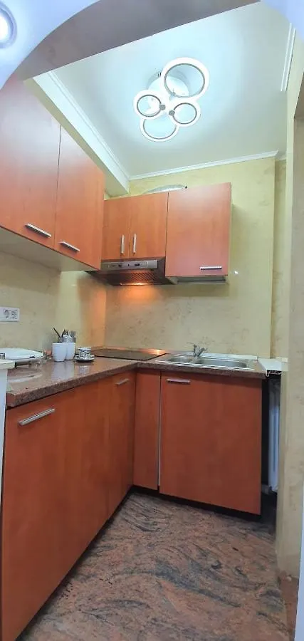 Grand Central Accomodation Doamnei2 Bucharest Apartment